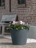 6FSTGB012_1