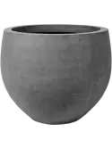 6FSTGO004