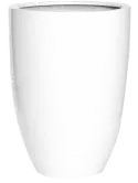 6FSTGWB55