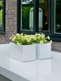 6FSTGWBB50_2