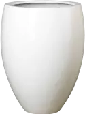 6FSTGWBO62