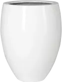 6FSTGWBO85