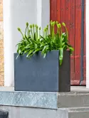 6FSTJSBS0_1