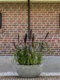 6FSTMO014_1