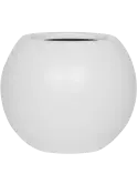 6FSTMWB20