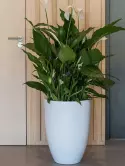 6FSTMWBE5_1