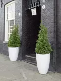6FSTMWBE7_1