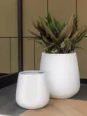 6FSTMWP46_1