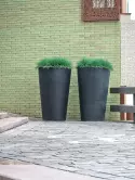 6FSTRBEB4_1