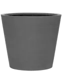 6FSTRBG60