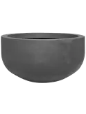 6FSTRCG65