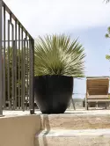 6FSTRJEB4_2