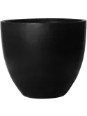 6FSTRJUB85