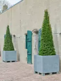 6FSTSJG25_1