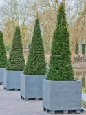 6FSTSJG35_1