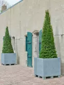 6FSTSJG40_1