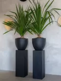 6FSTSYB35_1