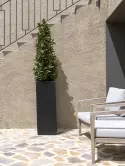 6FSTSYB35_2