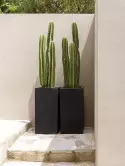 6FSTSYB60_2