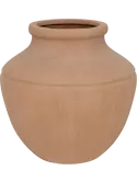 6FSTTNE12