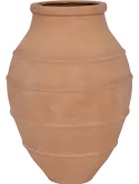6FSTTNS11