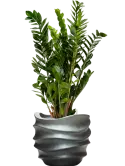 6GRDC41GR_2