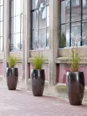 6KBGZVM02_1