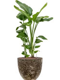 6LAVC340Z_1