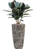 6LAVP650Z_2