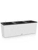 6LECBA900