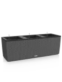 6LECBA903