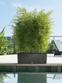 6LECBA903_2