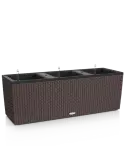 6LECBA905