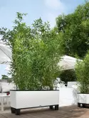 6LECBA910_2