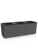 6LECBA915