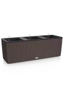 6LECBA920