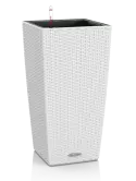 6LECCO30A