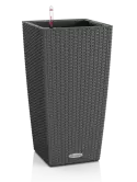 6LECCO30B