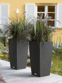 6LECCO30D_2