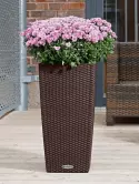 6LECCO40C_2