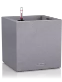 6LECCS30B