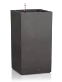 6LECCT30D