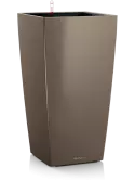 6LECKU242