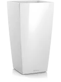 6LECKU335
