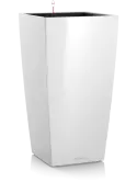 6LECKU360