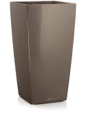 6LECKU454