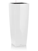 6LECKUA440