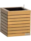 6LECPAL70