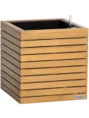6LECPAL72