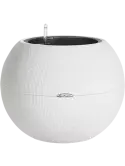 6LECPU500